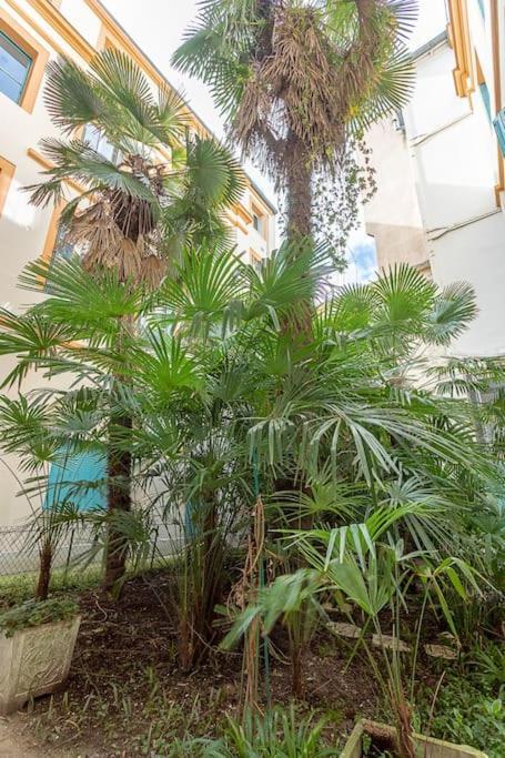 Apartament L'Elegance Du Capitole Tuluza Zewnętrze zdjęcie